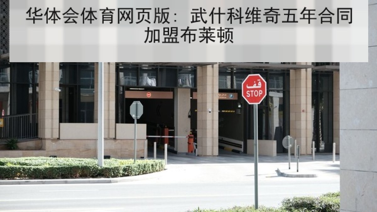 华体会体育网页版: 武什科维奇五年合同加盟布莱顿 华体会体育网页版: 武什科维奇五年合同加盟布莱顿